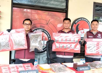 Polres Cianjur Bekuk Dua Tersangka Pengedar Ganja di Cugenang