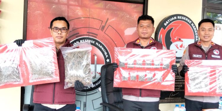 Polres Cianjur Bekuk Dua Tersangka Pengedar Ganja di Cugenang