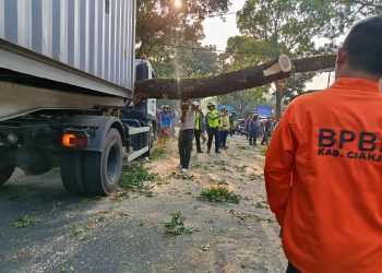 Truk Tabrak Pohon Hingga Tumbang di Jalan Raya Bandung 