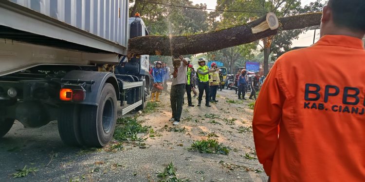 Truk Tabrak Pohon Hingga Tumbang di Jalan Raya Bandung 