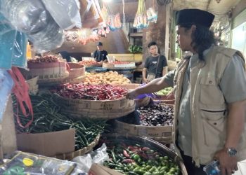 Pedasnya Harga Cabai di Cianjur, Ini Faktornya! 