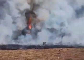 TNGGP Tutup Pendakian Gunung Gede Imbas Kebakaran Lahan