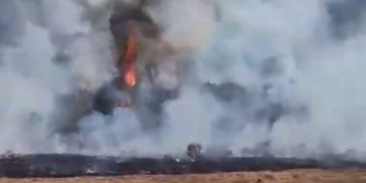 TNGGP Tutup Pendakian Gunung Gede Imbas Kebakaran Lahan