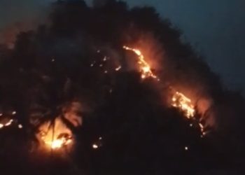 Bukit di Cibeber Terbakar, Pemadaman Temui Kendala 