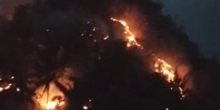 Bukit di Cibeber Terbakar, Pemadaman Temui Kendala 