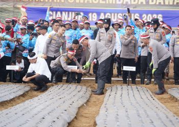POLRI Tanam Bawang Putih di Cianjur, Targetkan Swasembada Nasional