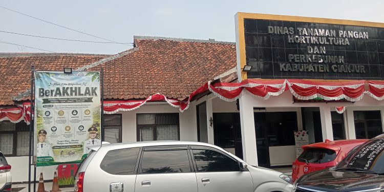 DTPHP Cianjur Catat 960 Hektare Terancam Kemarau
