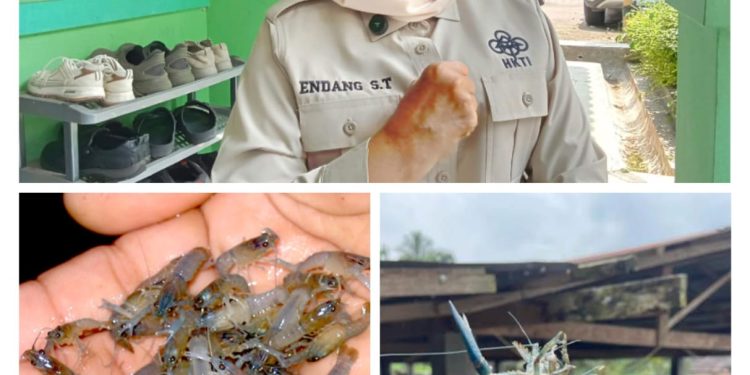 DPR RI Soroti Polemik Budidaya Benih Lobster, Minta Aturan Budidaya Lobster Disesuaikan
