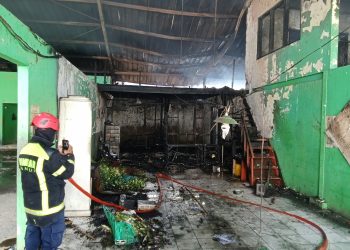 Diduga Korsleting Listrik Sebuah Kulkas, Pasar Cigombong Terbakar