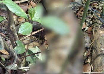 Misteri Identitas Mayat di Cibeber, Polres Cianjur Selidiki!