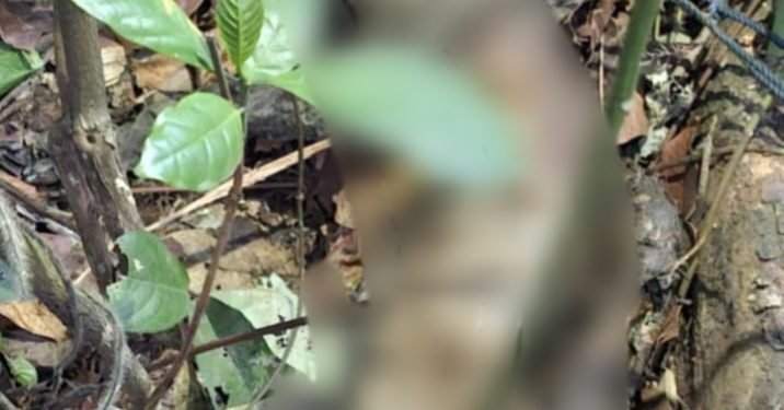 Misteri Identitas Mayat di Cibeber, Polres Cianjur Selidiki! 